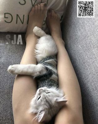 缘分的天空动漫在线看_BD韩语高清视频观看