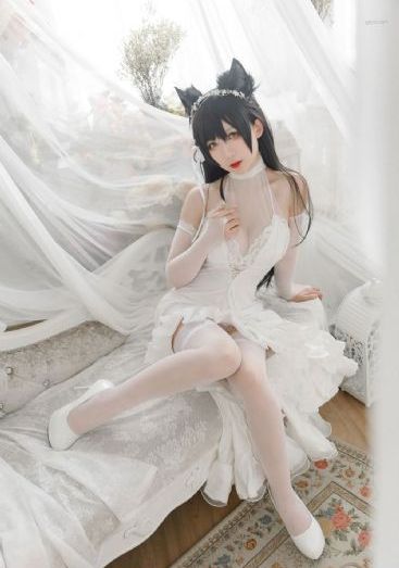 黑猫动漫在线播放免费观看_BD英语免费观看超清