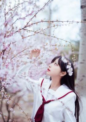 《新上海滩》在线观看_全集无删减版高清免费观看